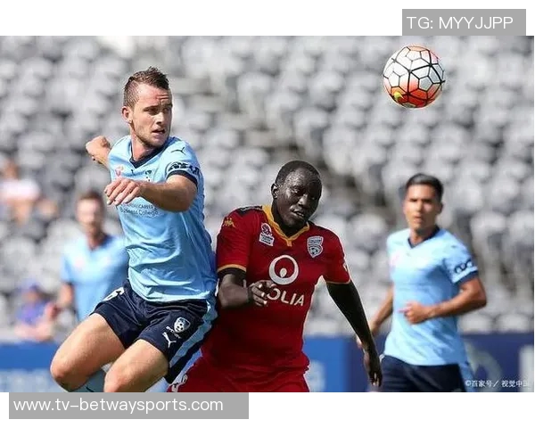 夏普谈休赛期训练重点聚焦提升三分球稳定性保持身体状态不变 夏普谈休赛期训练重点聚焦提升三分球稳定性保持身体状态不变